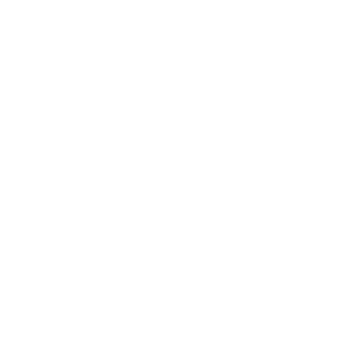 Partner Logo 7